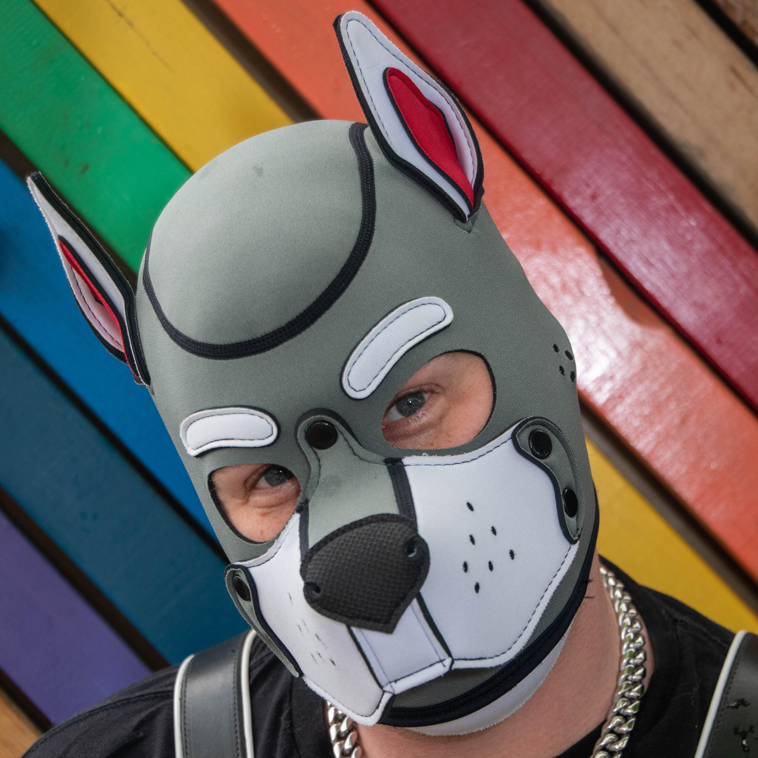 Pup Sabi / Tempest